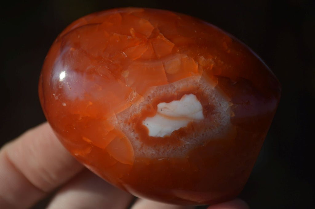 Polished Carnelian Agate Standing Free Forms  x 6 From Madagascar - Toprock Gemstones and Minerals 