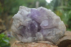 Natural Jacaranda Amethyst Cluster x 1 From Mumbwa, Zambia - TopRock