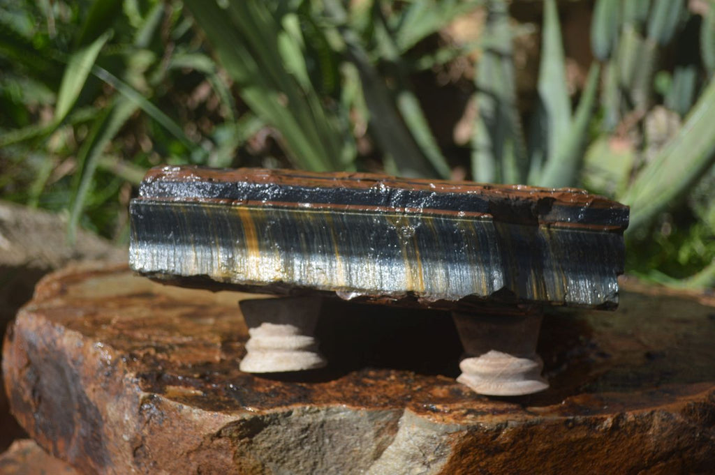 Natural Sliced Tigers Eye Specimen x 1 From Prieska, South Africa - Toprock Gemstones and Minerals 
