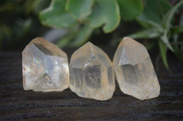 Natural Small Clear Citrine Crystals  x 52 From Luena, Congo - Toprock Gemstones and Minerals 