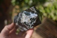 Polished Gabbro Merlinite Points  x 2 From Madagascar