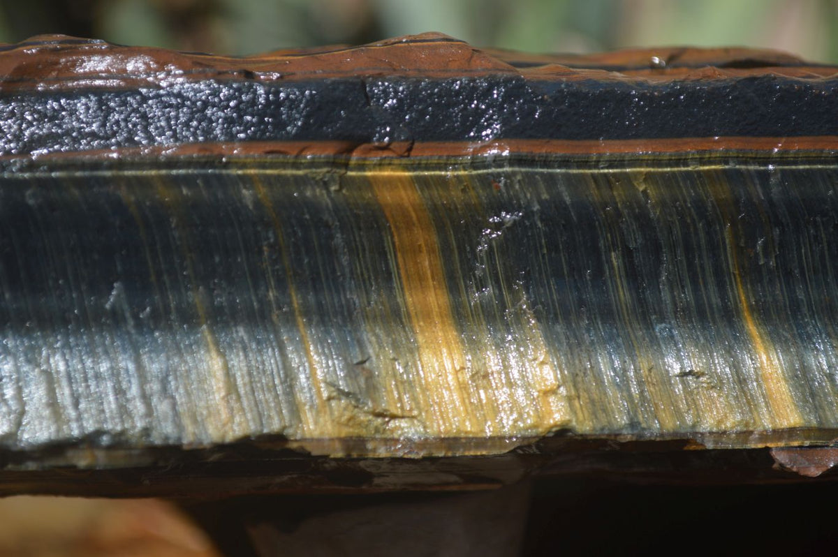 Natural Sliced Tigers Eye Specimen x 1 From Prieska, South Africa - Toprock Gemstones and Minerals 
