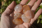 Polished Mini Ocean  Flower Agate Palm Stones  x 140 From Madagascar - Toprock Gemstones and Minerals 