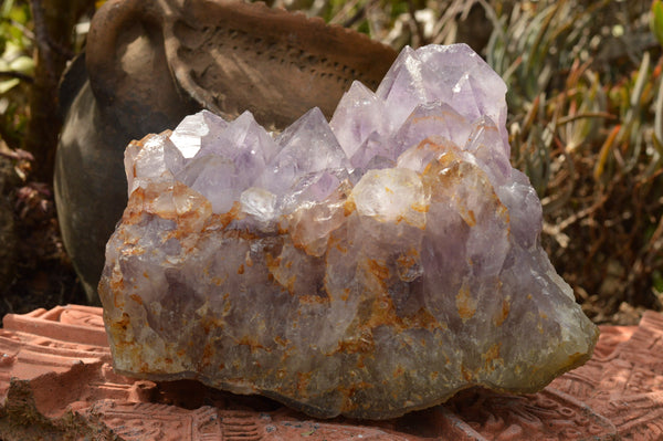 Natural Amethyst Cluster With Clear Crystals  x 1 From Madagascar - TopRock