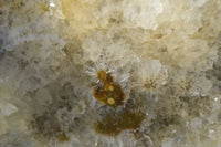 Polished Giant Orbicular Ocean Jasper Flame Sculpture  x 1 From Madagascar - Toprock Gemstones and Minerals 