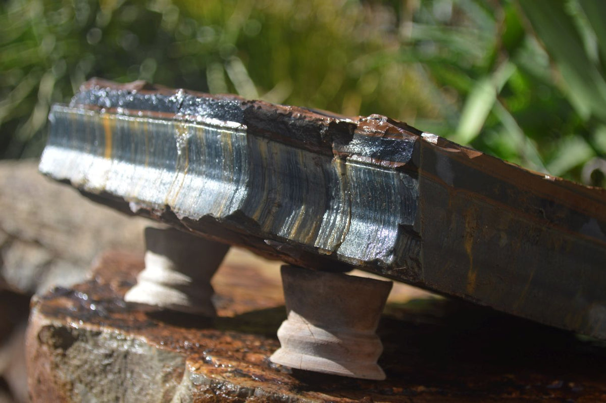 Natural Sliced Tigers Eye Specimen x 1 From Prieska, South Africa - Toprock Gemstones and Minerals 