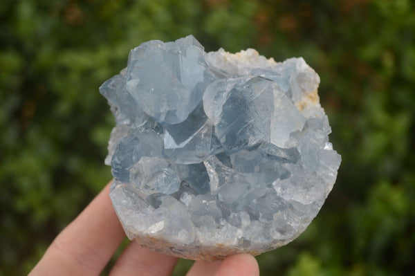 Natural Blue Celestite Crystal Specimens  x 3 From Madagascar