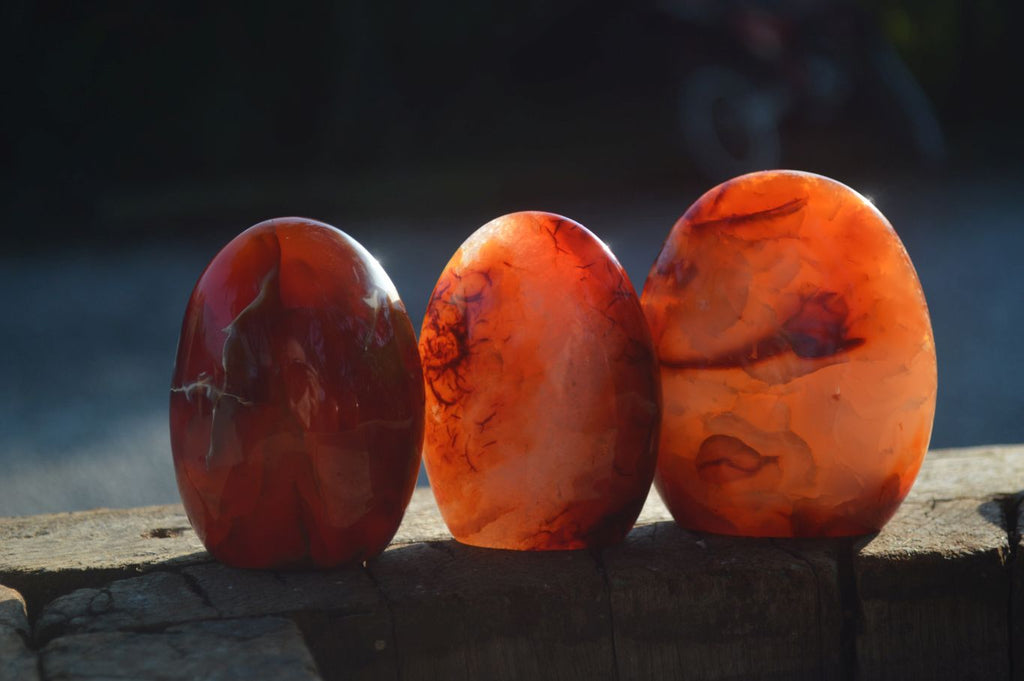 Polished Carnelian Agate Standing Free Forms  x 6 From Madagascar - Toprock Gemstones and Minerals 