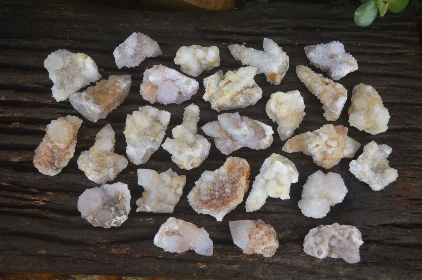 Natural Small White Spirit Fairy Quartz Clusters x 45 From Boekenhouthoek, South Africa - Toprock Gemstones and Minerals 