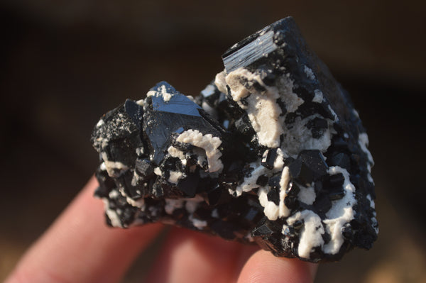 Natural Schorl Black Tourmaline Specimens x 6 From Erongo, Namibia