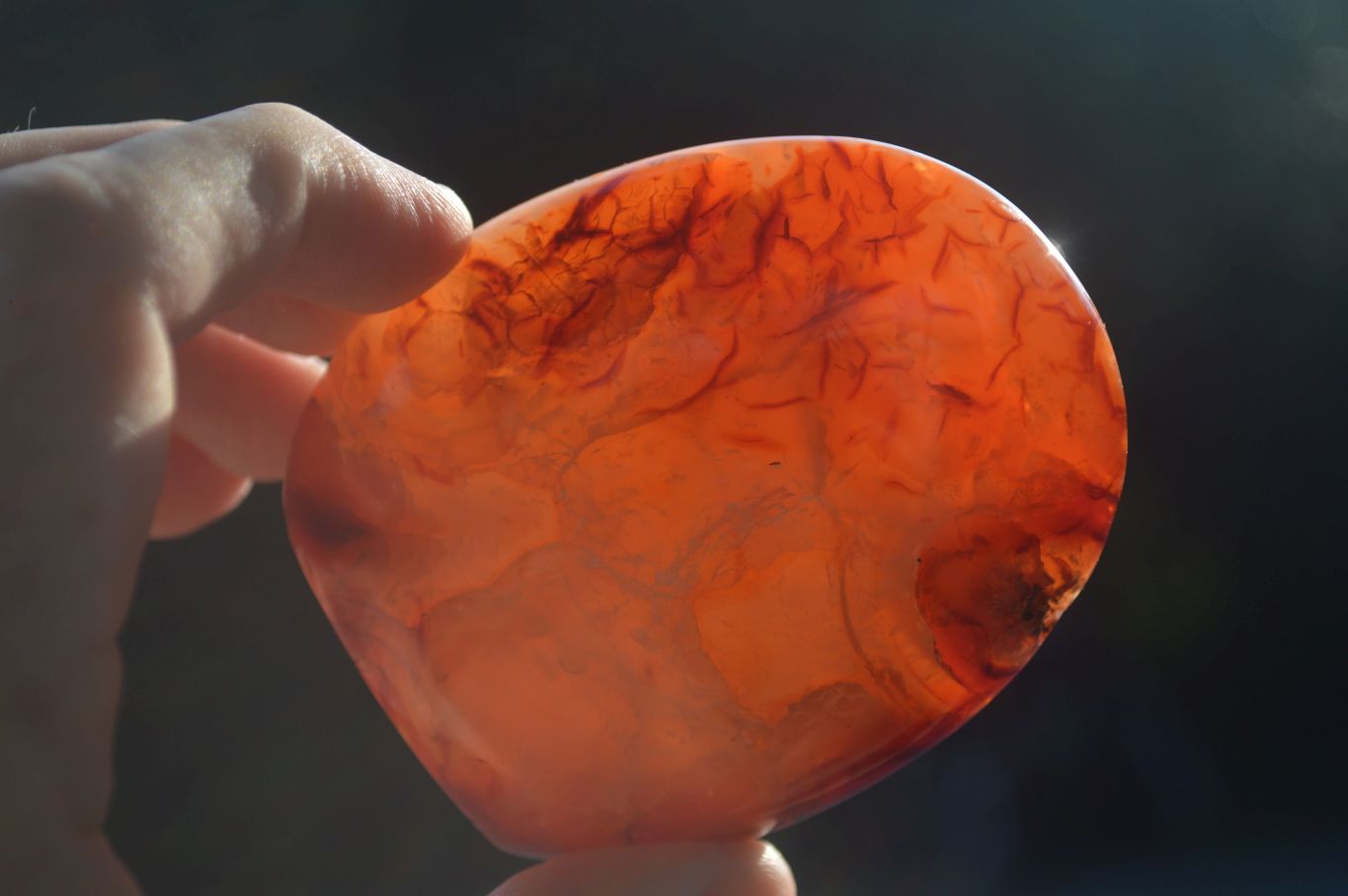 Polished Carnelian Agate Standing Free Forms  x 6 From Madagascar - Toprock Gemstones and Minerals 