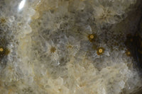 Polished Giant Orbicular Ocean Jasper Flame Sculpture  x 1 From Madagascar - Toprock Gemstones and Minerals 
