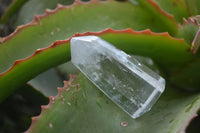 Polished Clear Quartz Crystal Points  x 8 From Madagascar - Toprock Gemstones and Minerals 