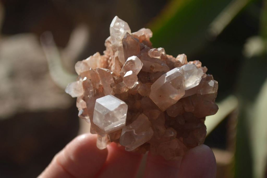 Natural Small Quartz Clusters  x 24 From Madagascar - Toprock Gemstones and Minerals 