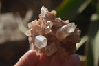 Natural Small Quartz Clusters  x 24 From Madagascar - Toprock Gemstones and Minerals 