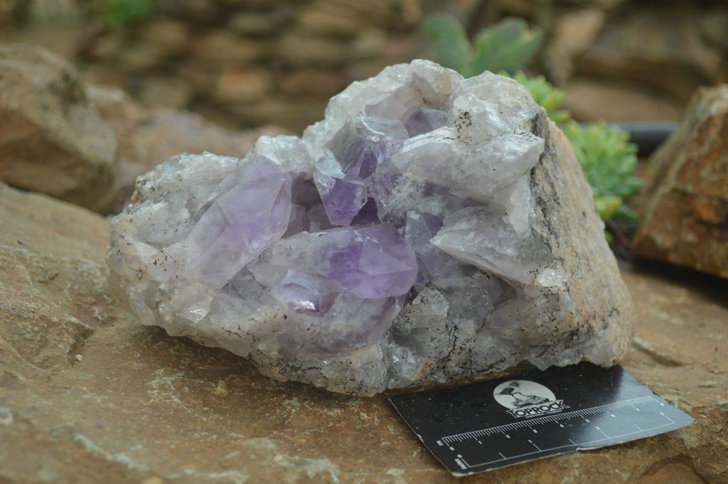 Natural Jacaranda Amethyst Cluster x 1 From Mumbwa, Zambia - TopRock