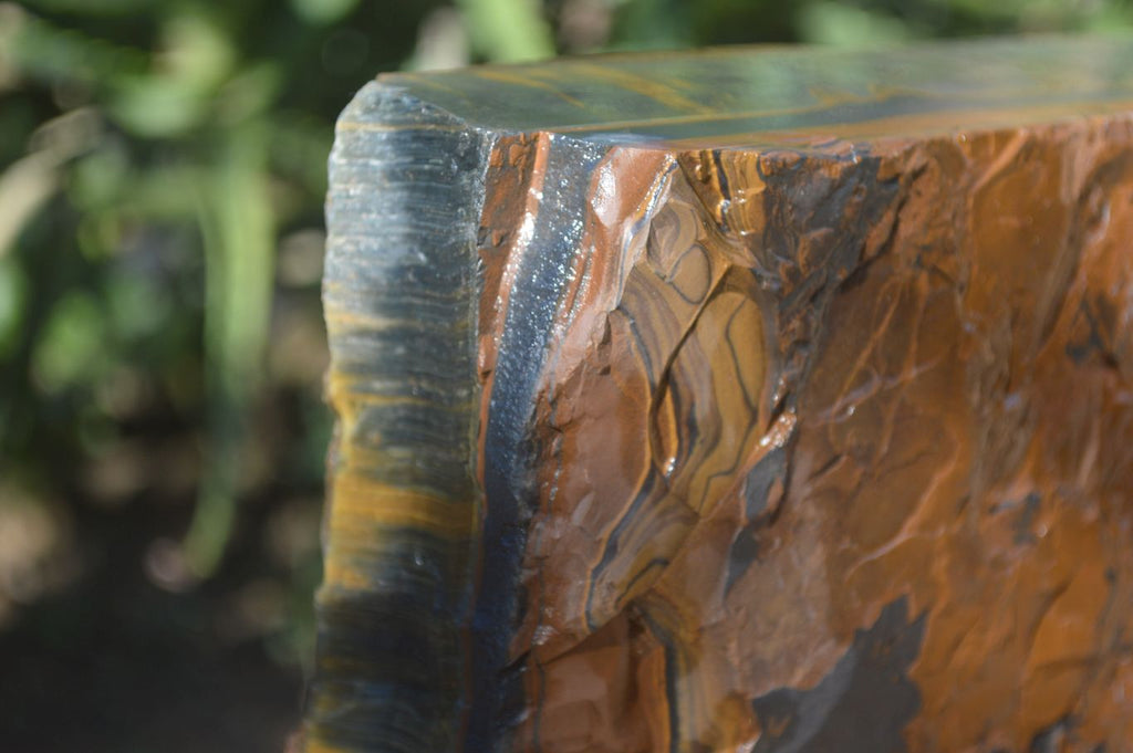 Natural Sliced Tigers Eye Specimen x 1 From Prieska, South Africa - Toprock Gemstones and Minerals 