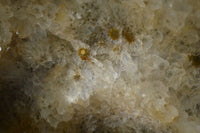 Polished Giant Orbicular Ocean Jasper Flame Sculpture  x 1 From Madagascar - Toprock Gemstones and Minerals 