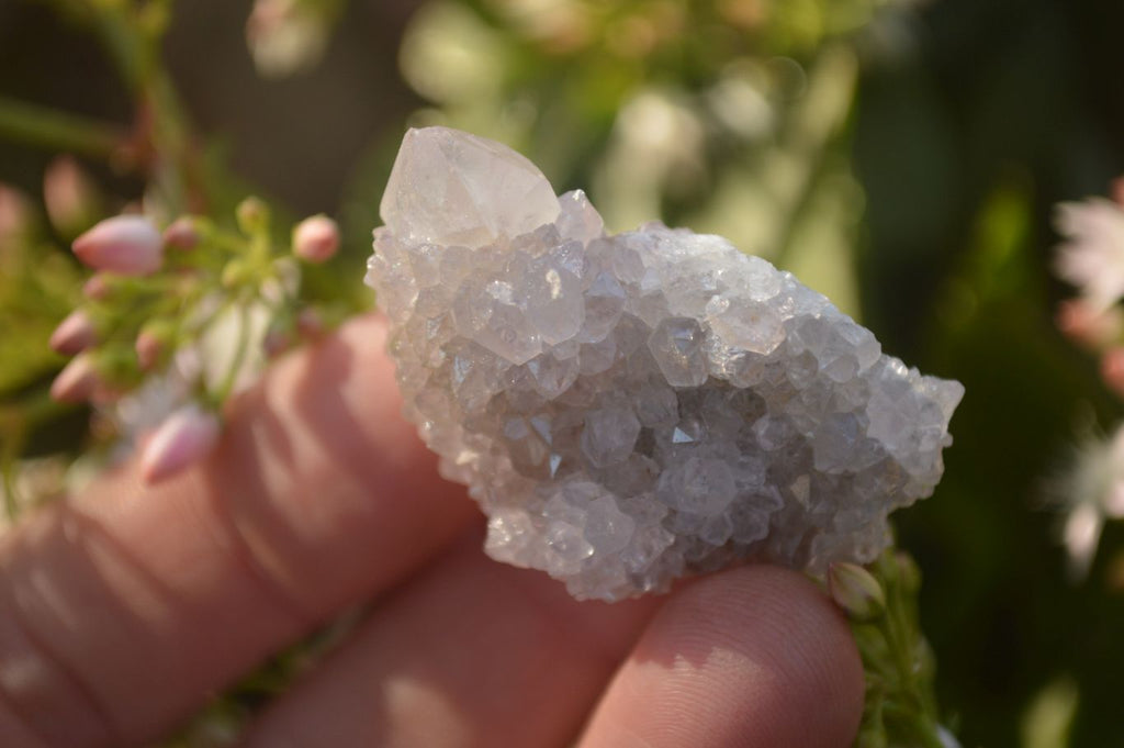 Natural Small White Spirit Fairy Quartz Clusters x 45 From Boekenhouthoek, South Africa - Toprock Gemstones and Minerals 