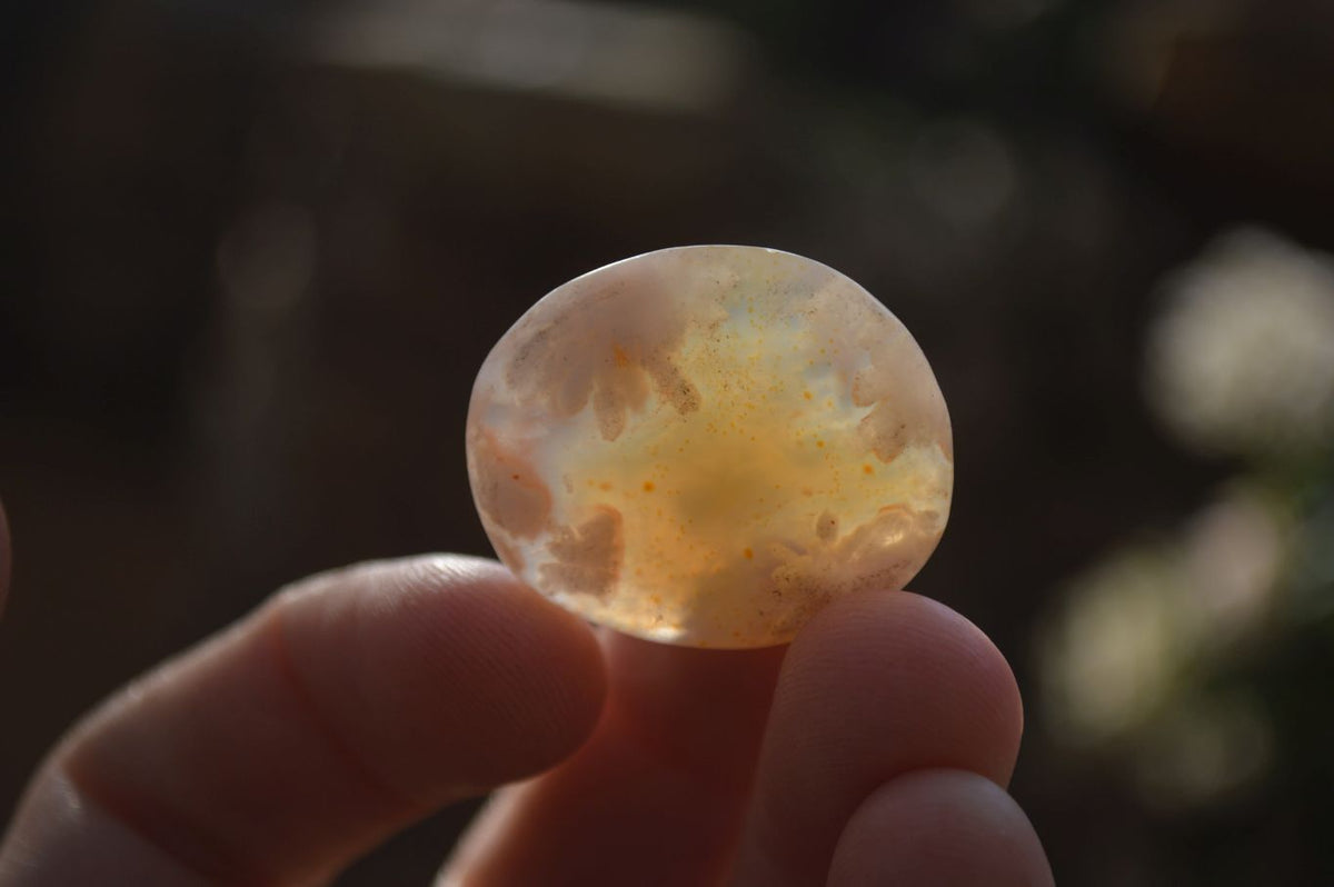 Polished Mini Ocean  Flower Agate Palm Stones  x 140 From Madagascar - Toprock Gemstones and Minerals 