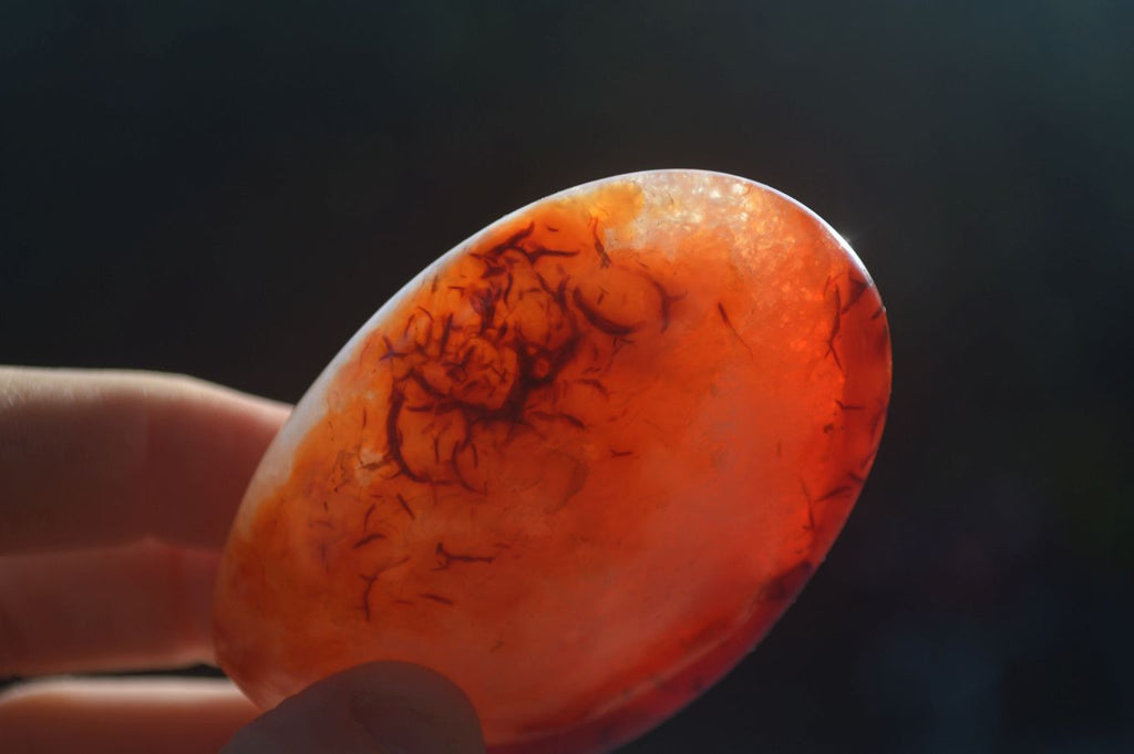 Polished Carnelian Agate Standing Free Forms  x 6 From Madagascar - Toprock Gemstones and Minerals 