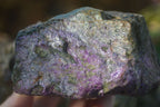 Natural Rough Stichtite & Serpentine Specimens  x 3 From Barberton, South Africa - Toprock Gemstones and Minerals 