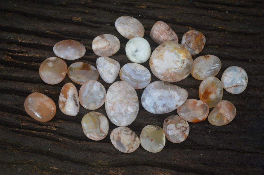 Polished Ocean Flower Agate Palm Stones  x 37 From Antsahalova, Madagascar - Toprock Gemstones and Minerals 