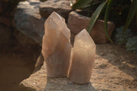 Natural Arcadian Quartz Crystals x 2 From Angola - Toprock Gemstones and Minerals 