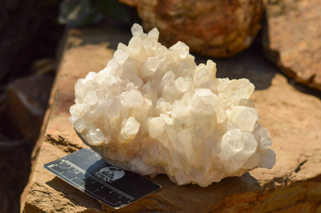 Natural Large White Quartz Clusters  x 2 From Madagascar - TopRock