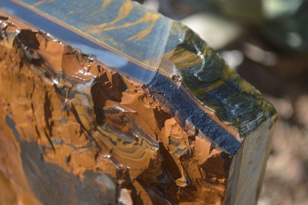 Natural Sliced Tigers Eye Specimen x 1 From Prieska, South Africa - Toprock Gemstones and Minerals 