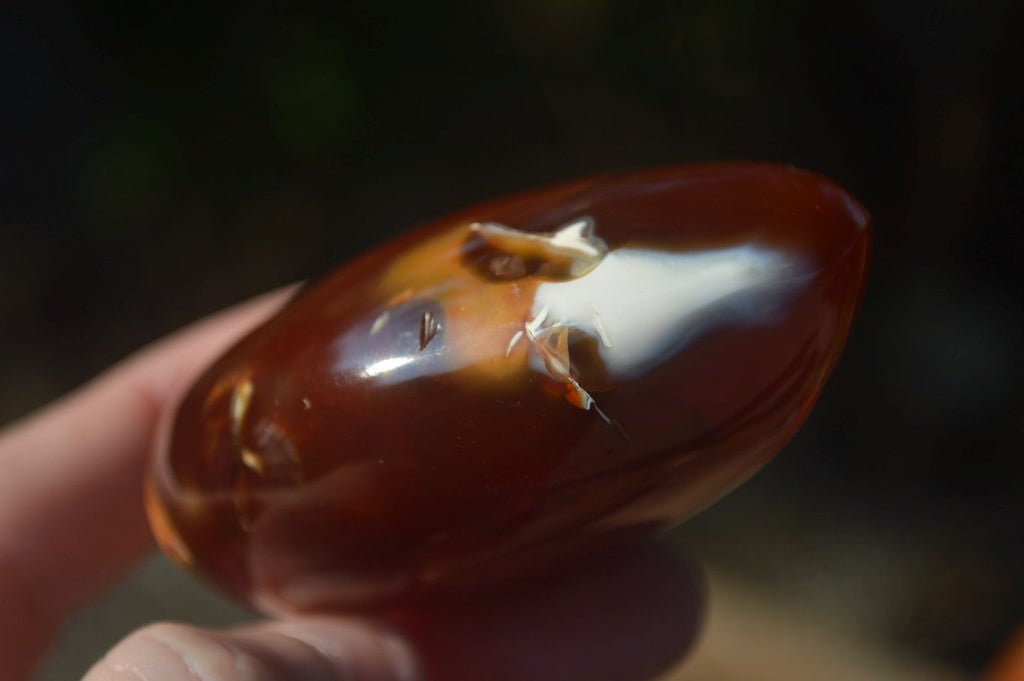 Polished Carnelian Agate Standing Free Forms  x 6 From Madagascar - Toprock Gemstones and Minerals 