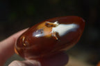 Polished Carnelian Agate Standing Free Forms  x 6 From Madagascar - Toprock Gemstones and Minerals 