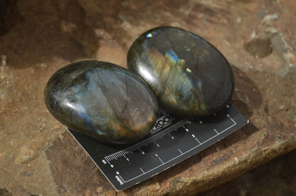 Polished Lovely Mixed Selection Of Palm Stones  x 12 From Madagascar - TopRock