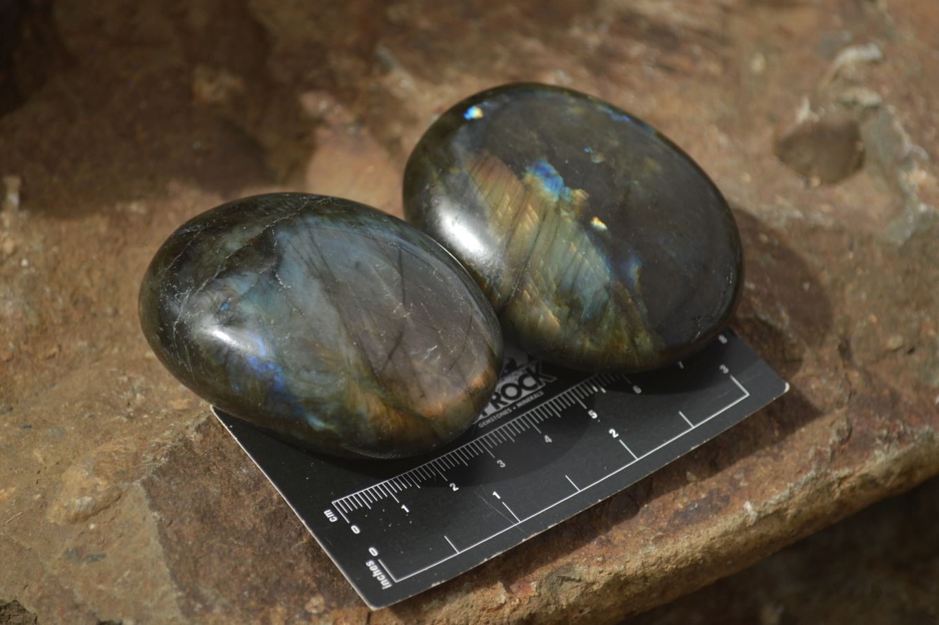 Polished Lovely Mixed Selection Of Palm Stones  x 12 From Madagascar - TopRock