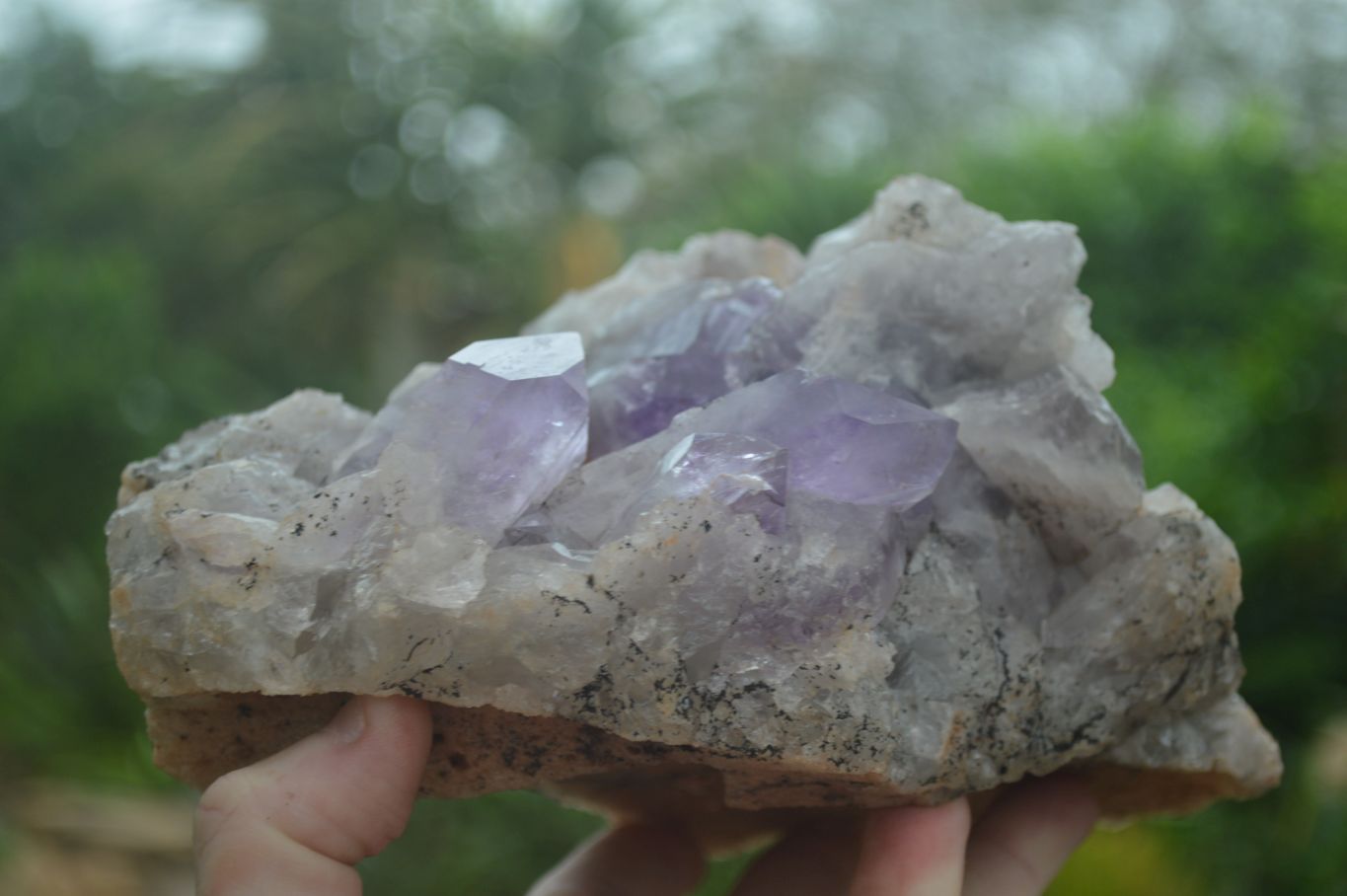 Natural Jacaranda Amethyst Cluster x 1 From Mumbwa, Zambia - TopRock