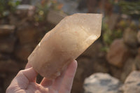Natural Arcadian Quartz Crystals x 2 From Angola - Toprock Gemstones and Minerals 
