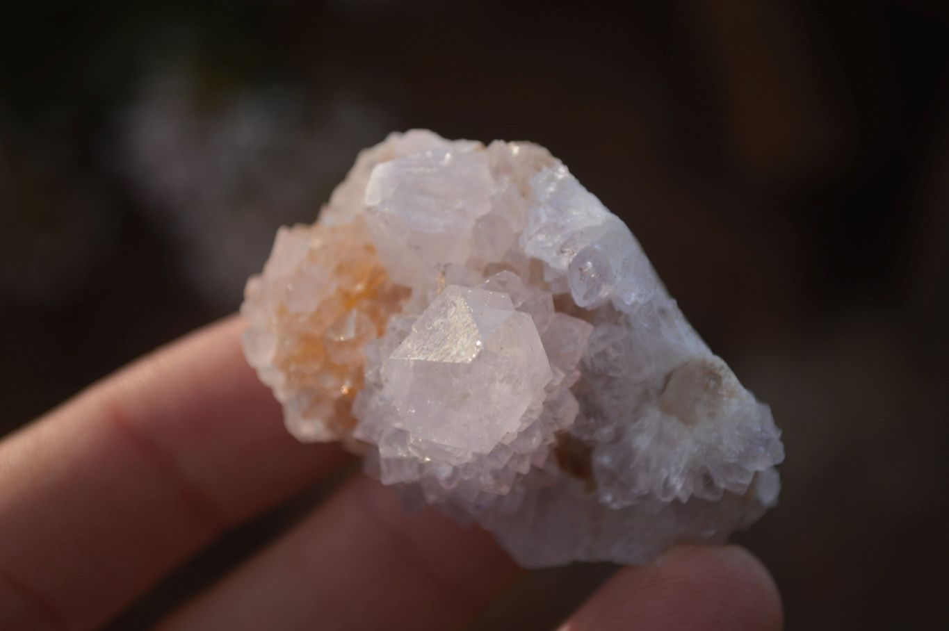 Natural Small White Spirit Fairy Quartz Clusters x 45 From Boekenhouthoek, South Africa - Toprock Gemstones and Minerals 