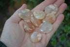 Polished Ocean Flower Agate Palm Stones  x 37 From Antsahalova, Madagascar - Toprock Gemstones and Minerals 