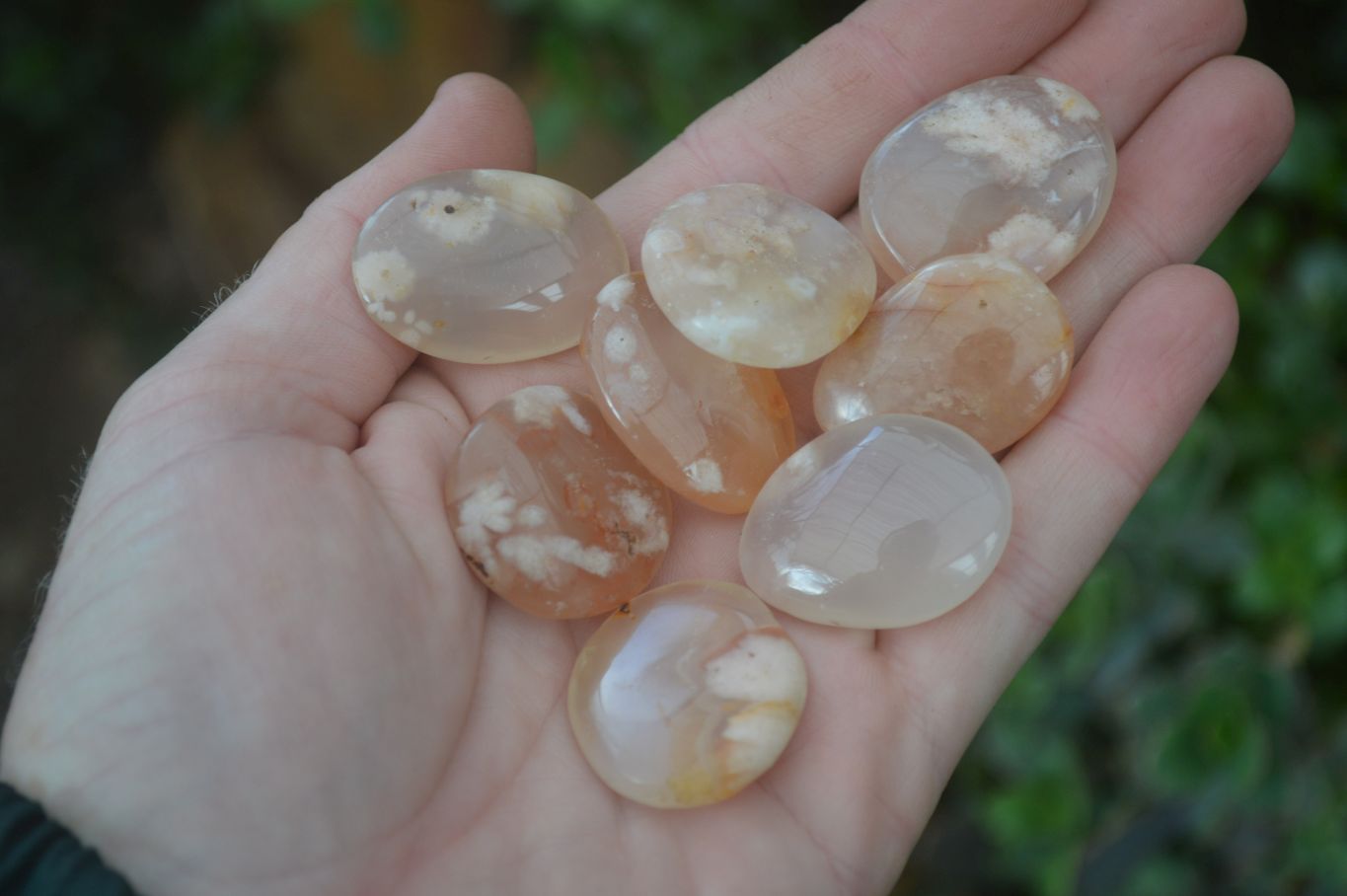Polished Ocean Flower Agate Palm Stones  x 37 From Antsahalova, Madagascar - Toprock Gemstones and Minerals 