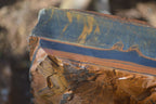 Natural Sliced Tigers Eye Specimen x 1 From Prieska, South Africa - Toprock Gemstones and Minerals 