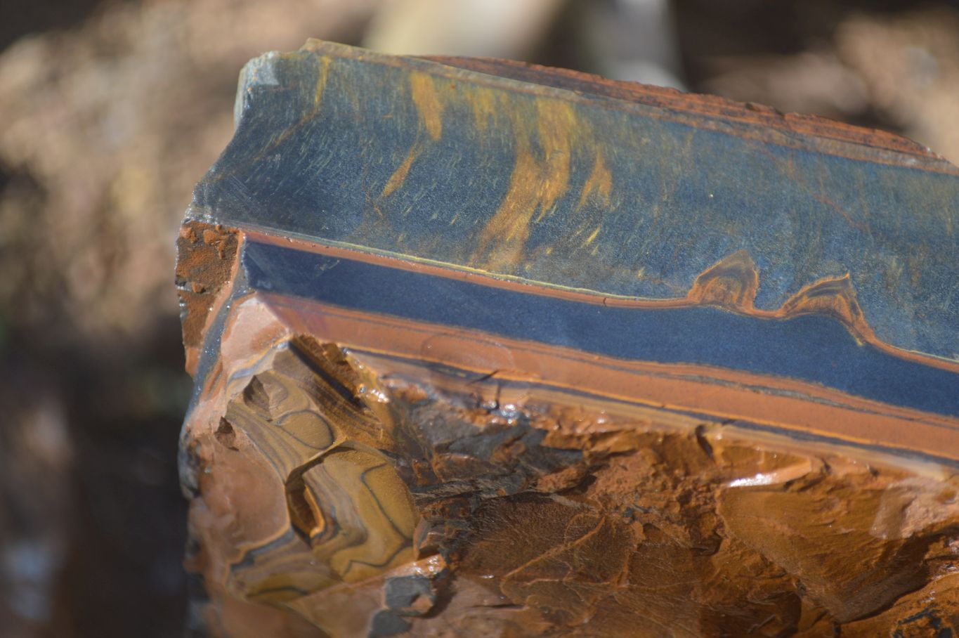 Natural Sliced Tigers Eye Specimen x 1 From Prieska, South Africa - Toprock Gemstones and Minerals 
