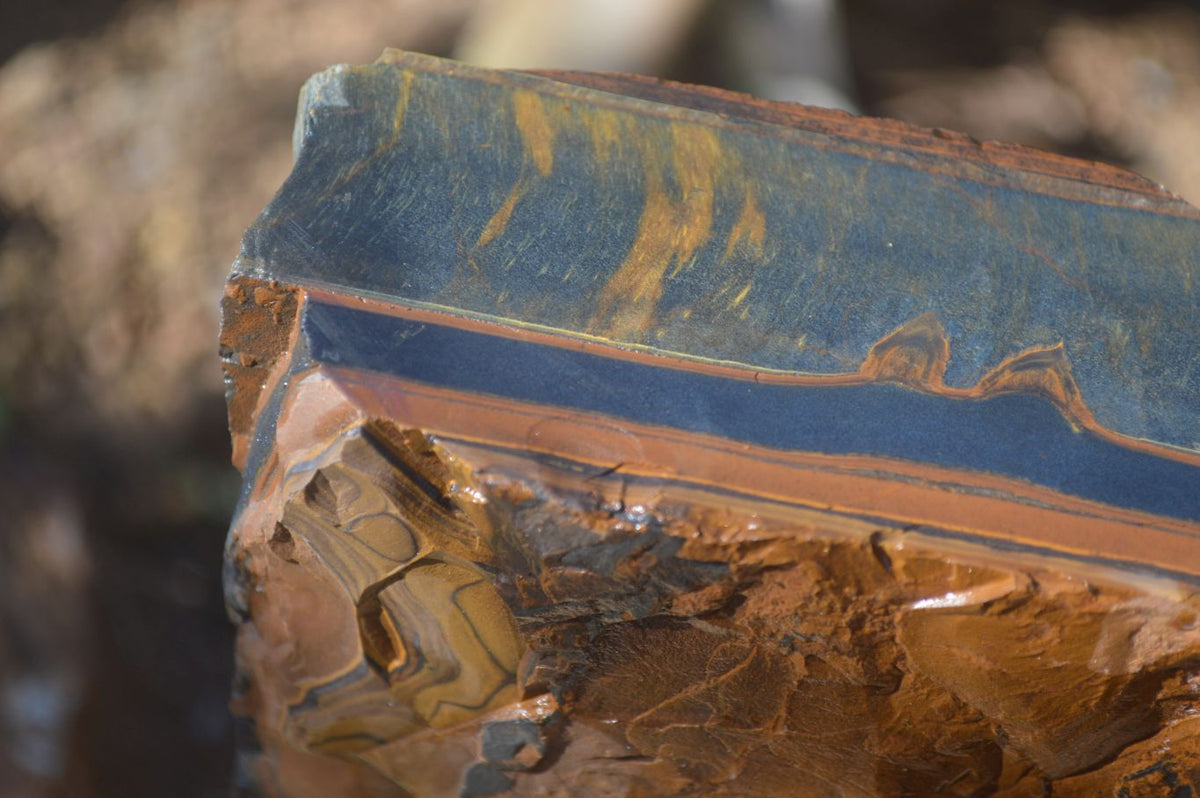 Natural Sliced Tigers Eye Specimen x 1 From Prieska, South Africa - Toprock Gemstones and Minerals 