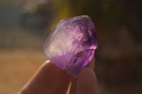 Polished Small Window Amethyst Quartz Points x 12 From Madagascar - Toprock Gemstones and Minerals 