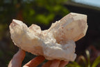 Natural Large White Quartz Clusters  x 2 From Madagascar - TopRock