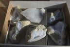 Natural Blue Lace Agate Geode Specimens  x 6 From Nsanje, Malawi - Toprock Gemstones and Minerals 