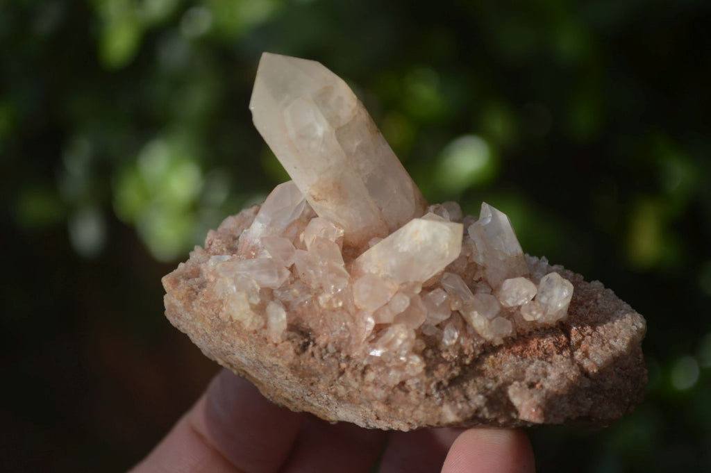 Natural Small Quartz Clusters  x 24 From Madagascar - Toprock Gemstones and Minerals 