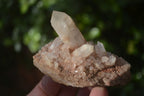 Natural Small Quartz Clusters  x 24 From Madagascar - Toprock Gemstones and Minerals 