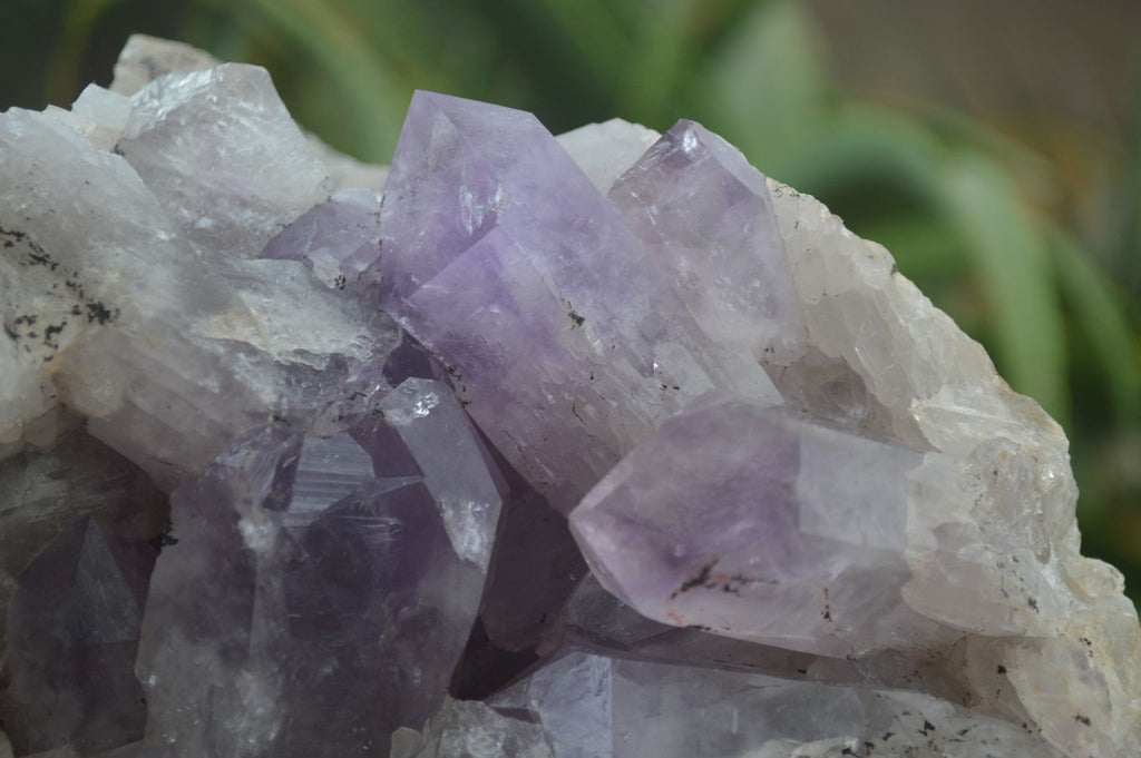 Natural Jacaranda Amethyst Cluster x 1 From Mumbwa, Zambia - TopRock