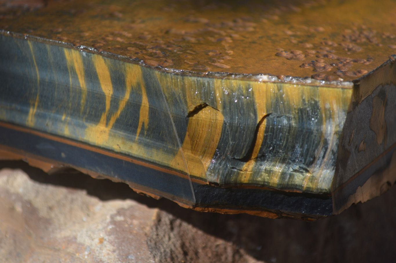 Natural Sliced Tigers Eye Specimen x 1 From Prieska, South Africa - Toprock Gemstones and Minerals 