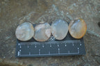 Polished Ocean Flower Agate Palm Stones  x 37 From Antsahalova, Madagascar - Toprock Gemstones and Minerals 